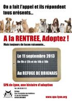 Journée adoption spéciale 