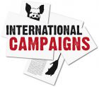 Journée Mondiale des Animaux dans les Laboratoires