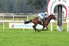 Le Pays Beaujolais en fête sur l'hippodrome de Parilly