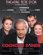 Cochon d'inde