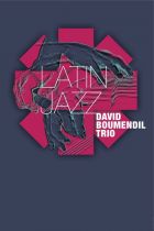David Boumendil Trio